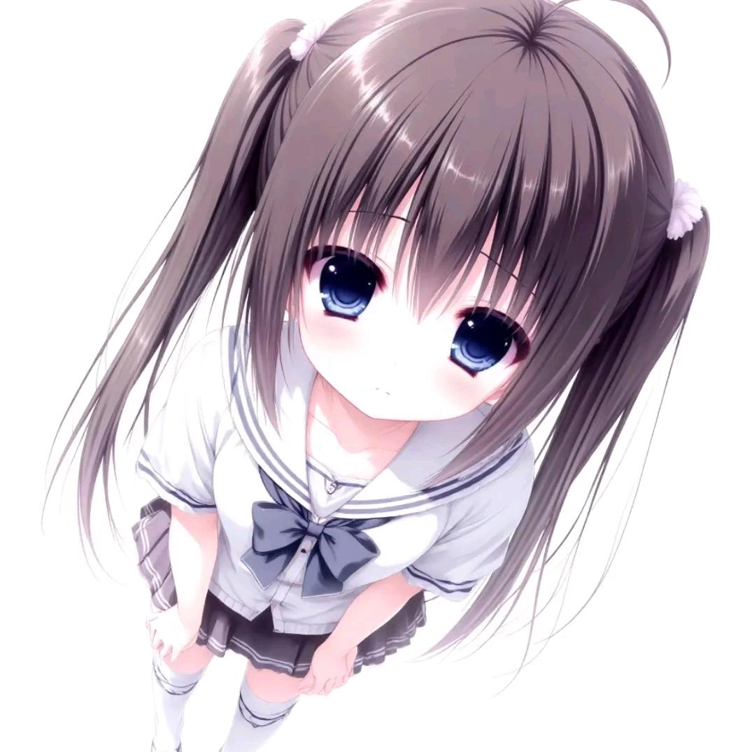 泡泡肥猫