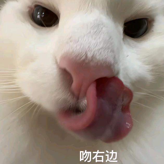 沧垚61