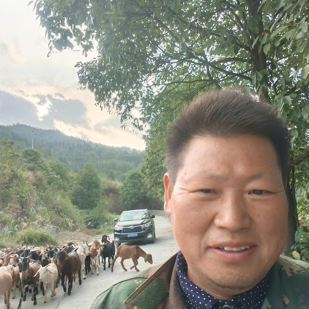 湘西大彭