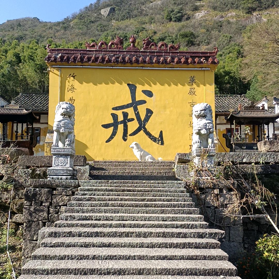 土豆