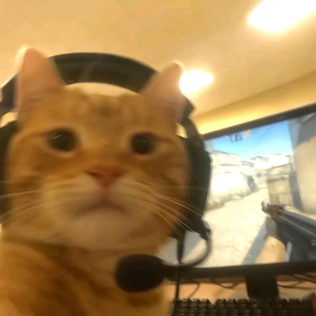 鸭脖的奇妙冒险