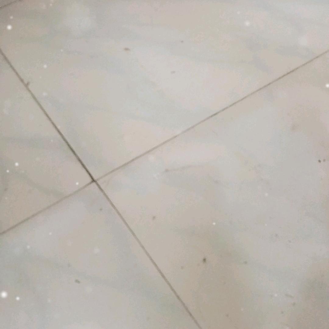 吉星高照