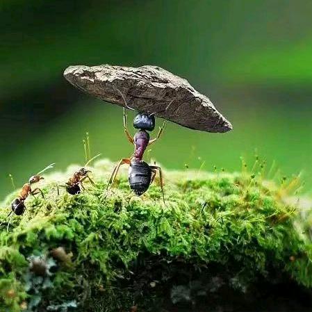 🚬ಇ᭄清风࿆ྃ烈酒໊醉人心࿐