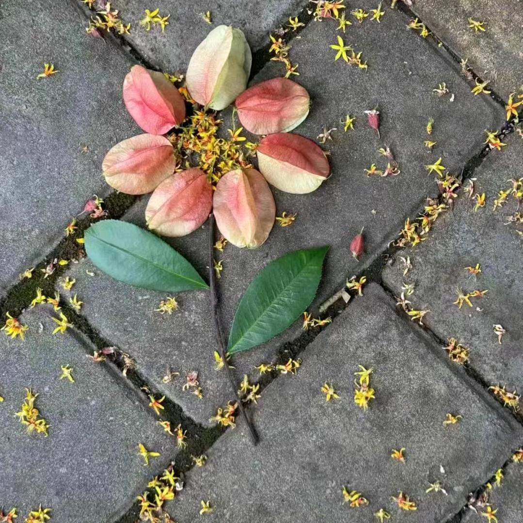 柔情