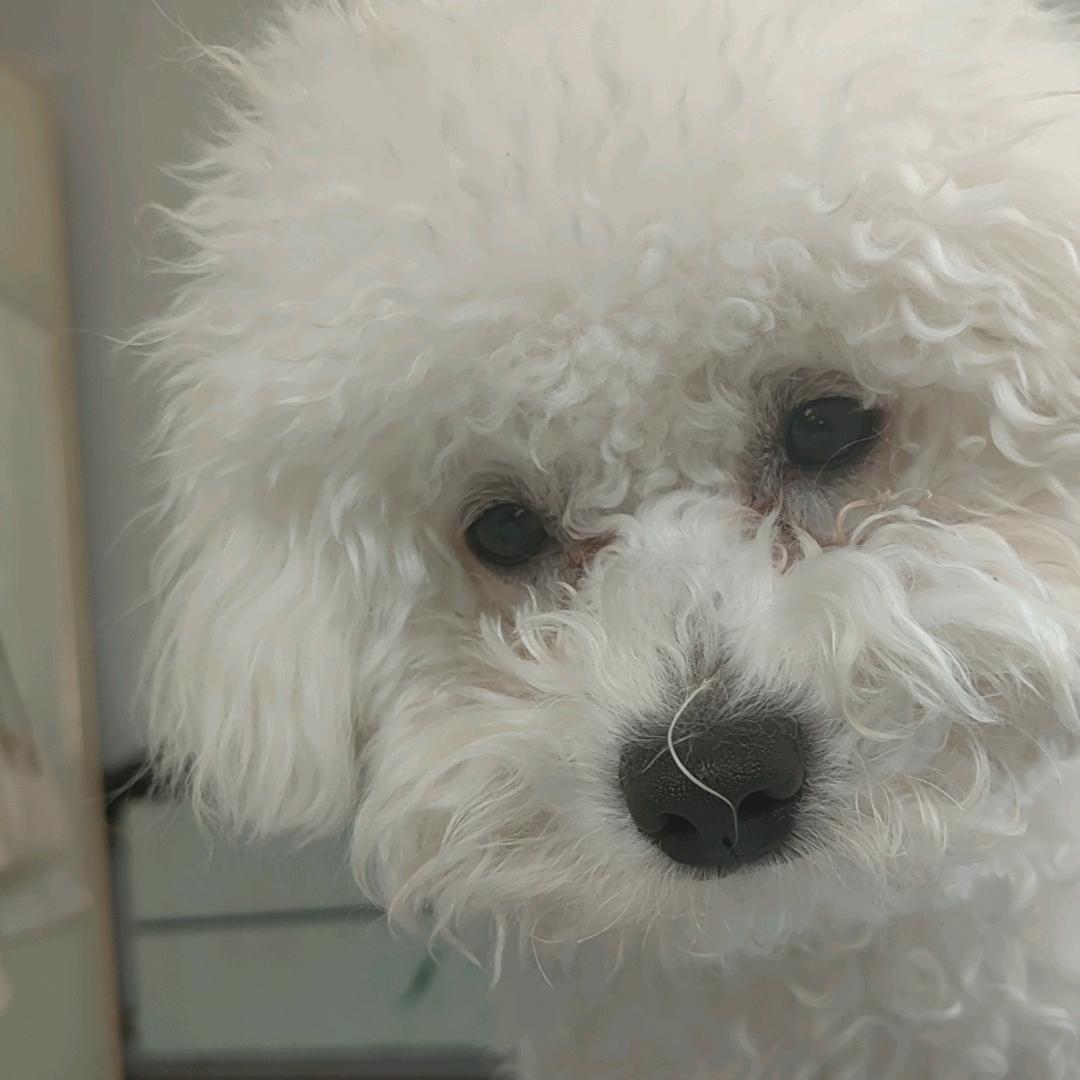 富贵👾