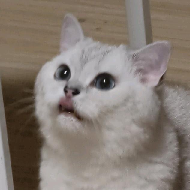 俺不ne