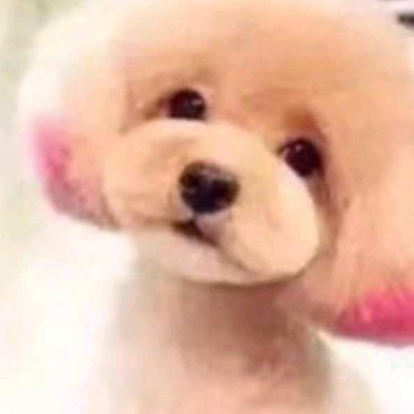 🍀🍀干脆利落🌻🌻