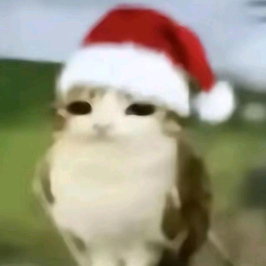 一颗大土豆