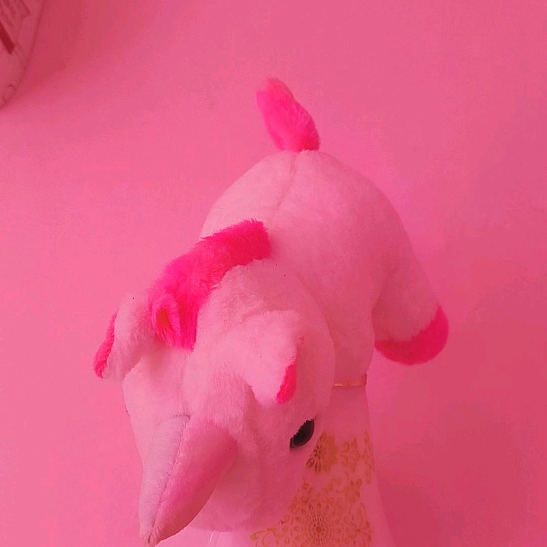 杨二姐