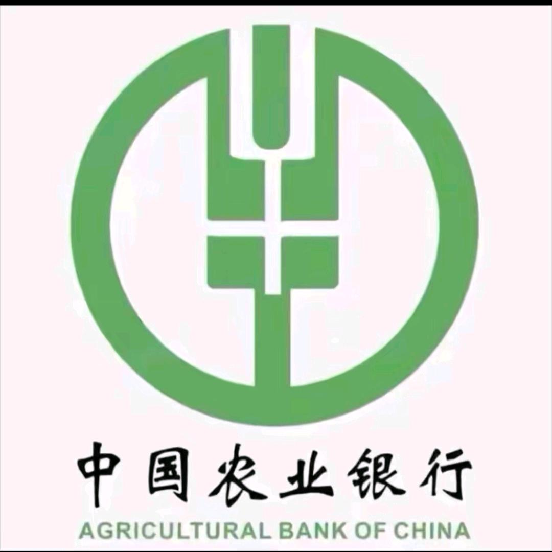 老人民钱💰