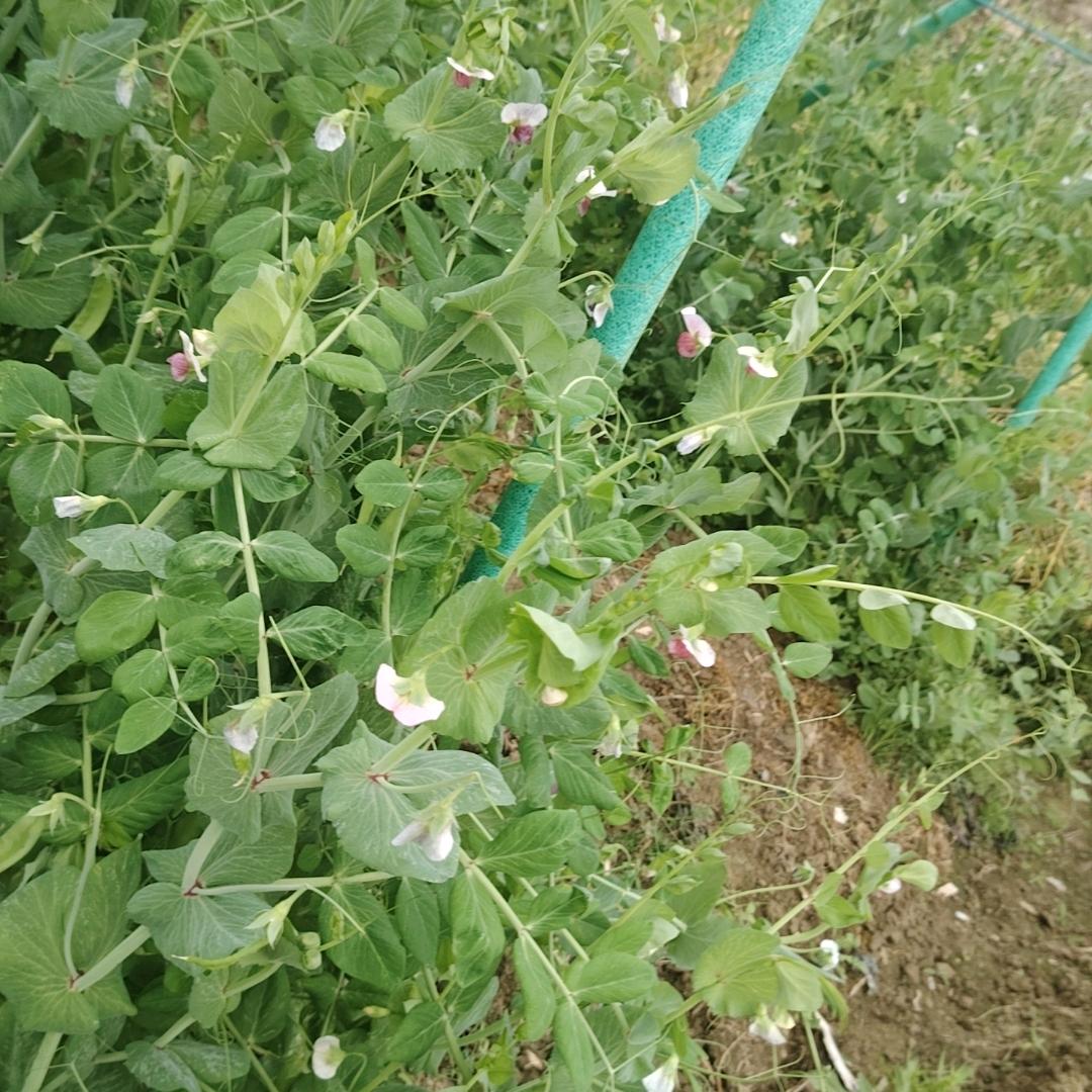 快乐永远属于你
