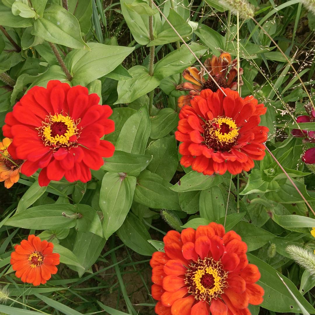 幸福其实很简单