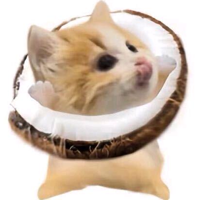 总有烦心事