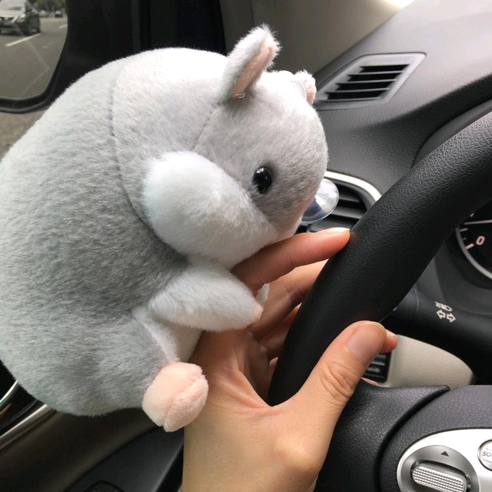 小芝呼呼