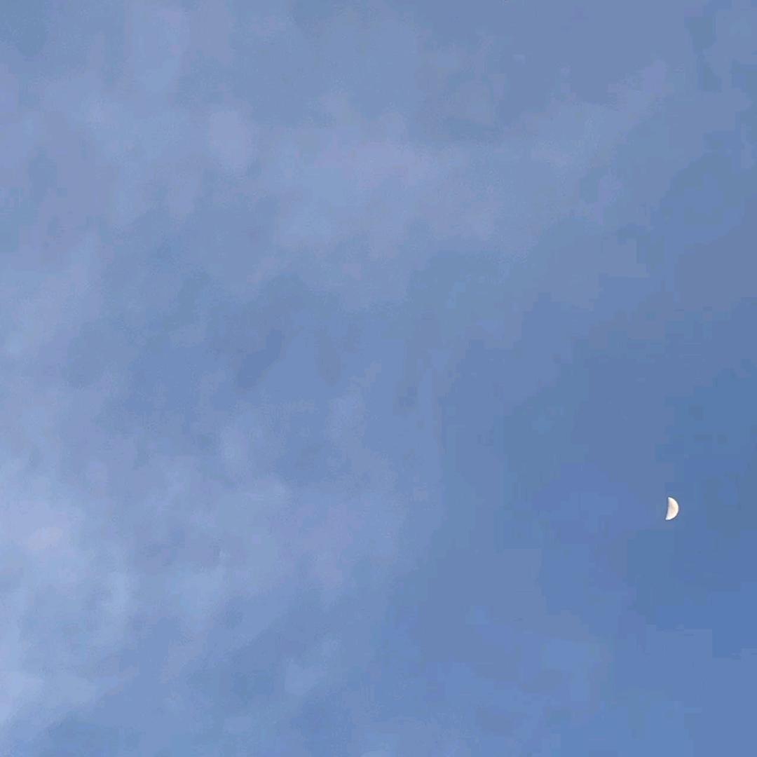 用户880387321879
