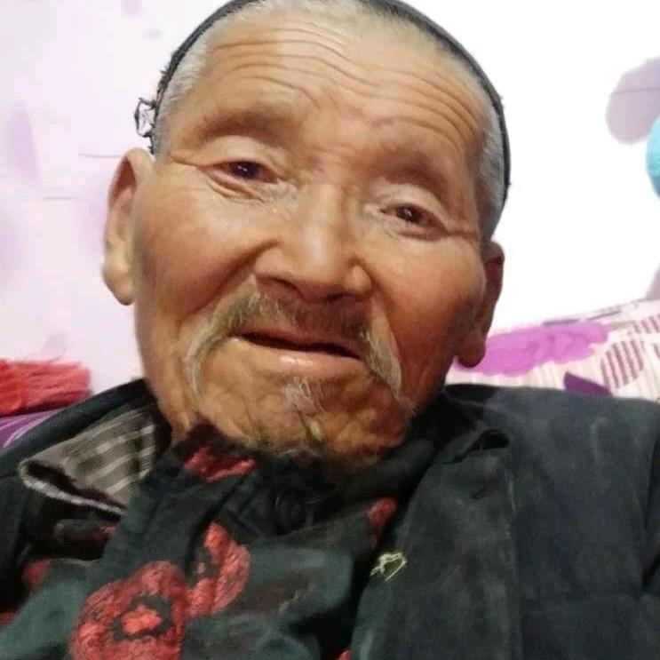 爱吃野果的灰猴