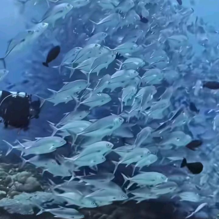 心中怀念