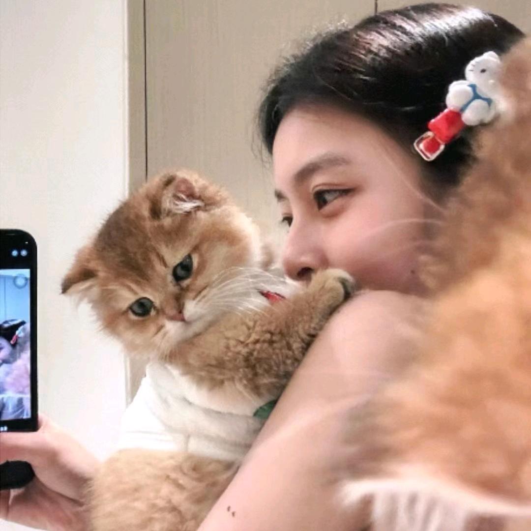 小羊不吃香菜🌱