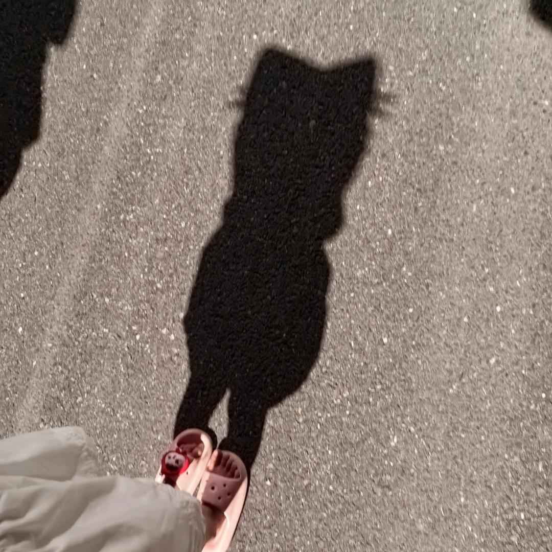 桩机学徒@高
