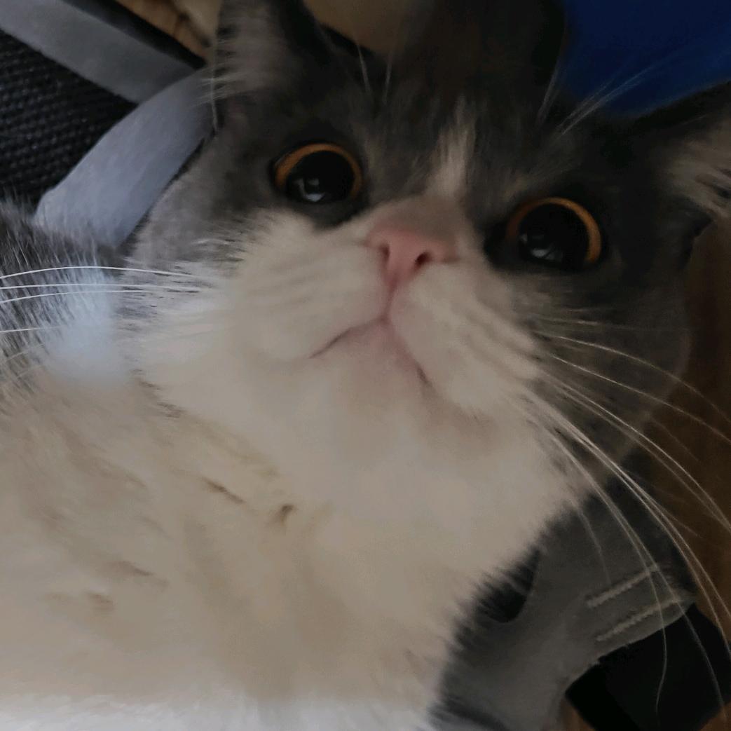 不闹