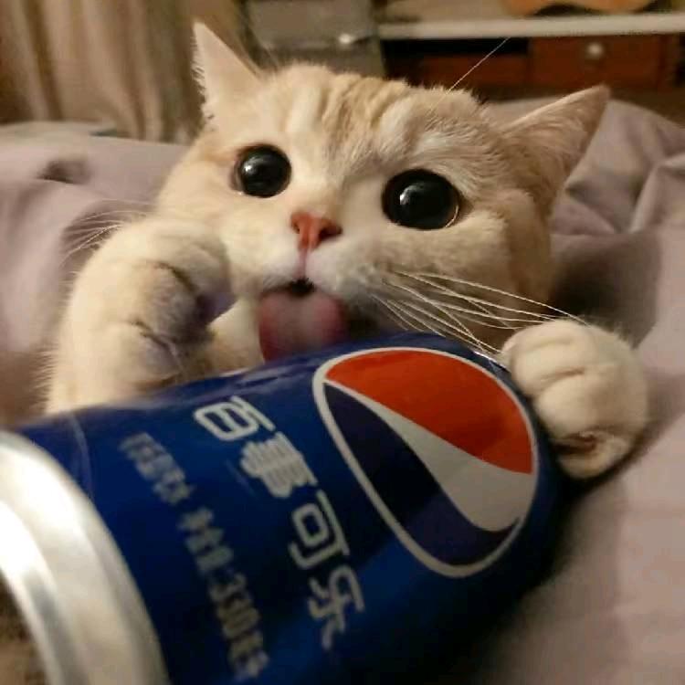 天生冷暴力