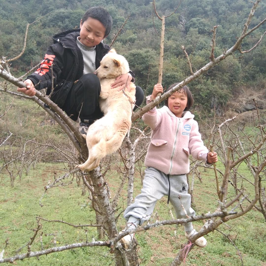 聂住你