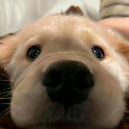 绝唱小怡