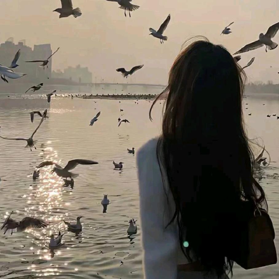 三亿少女的衣橱