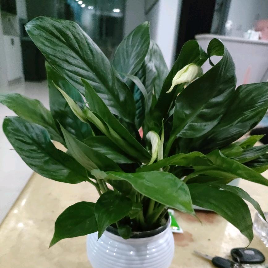简单快乐就好