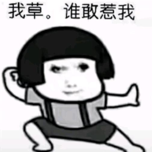 贺贺崽.