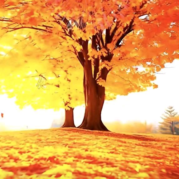 你不理我，我不理你