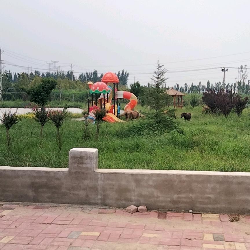 冷暖自知