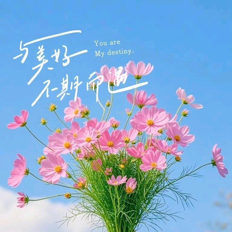 褀名轩姓名策划