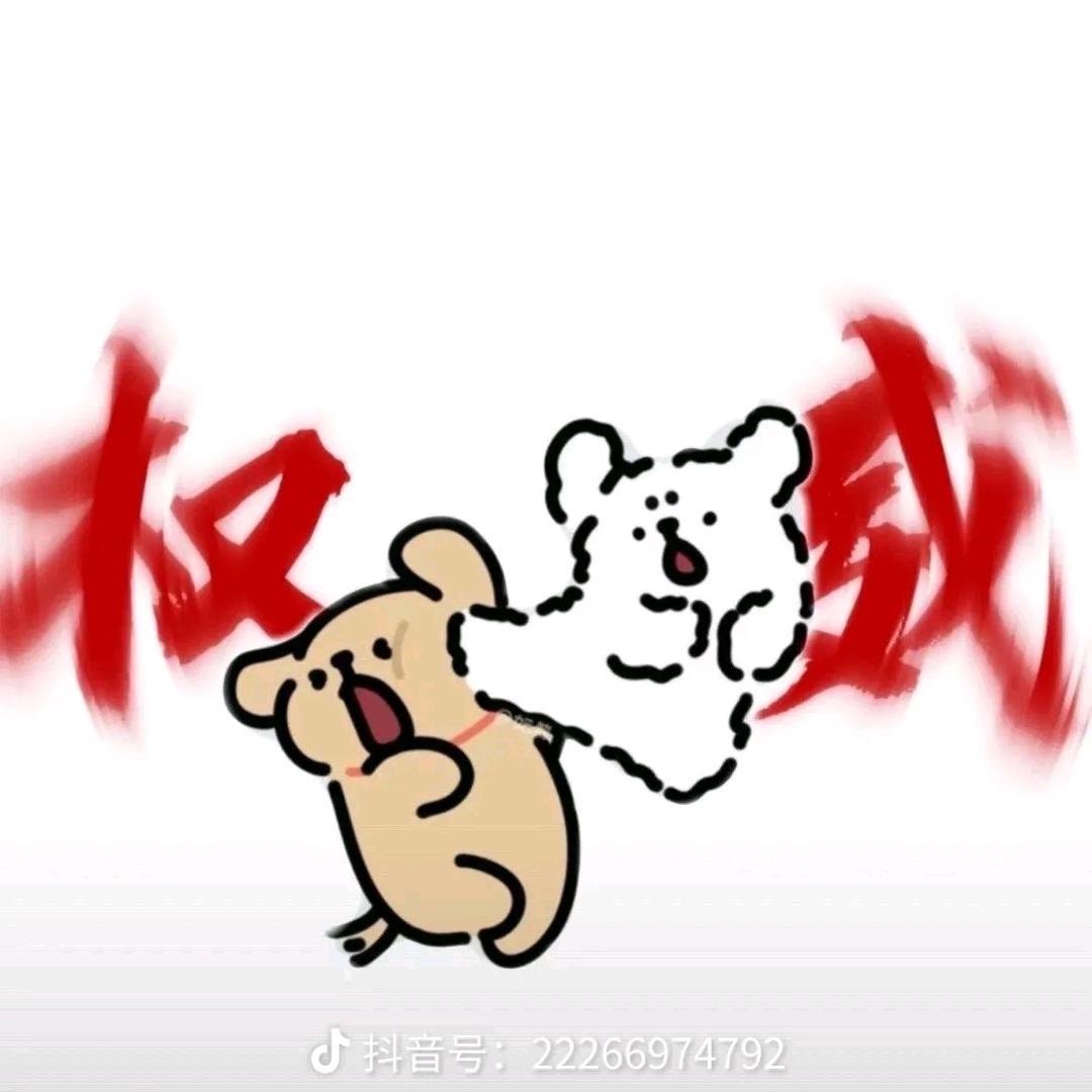 @小MI同学爱摄影📷【数码摄影】