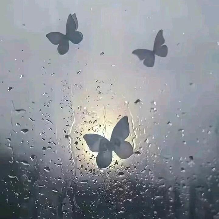 我有花一朵