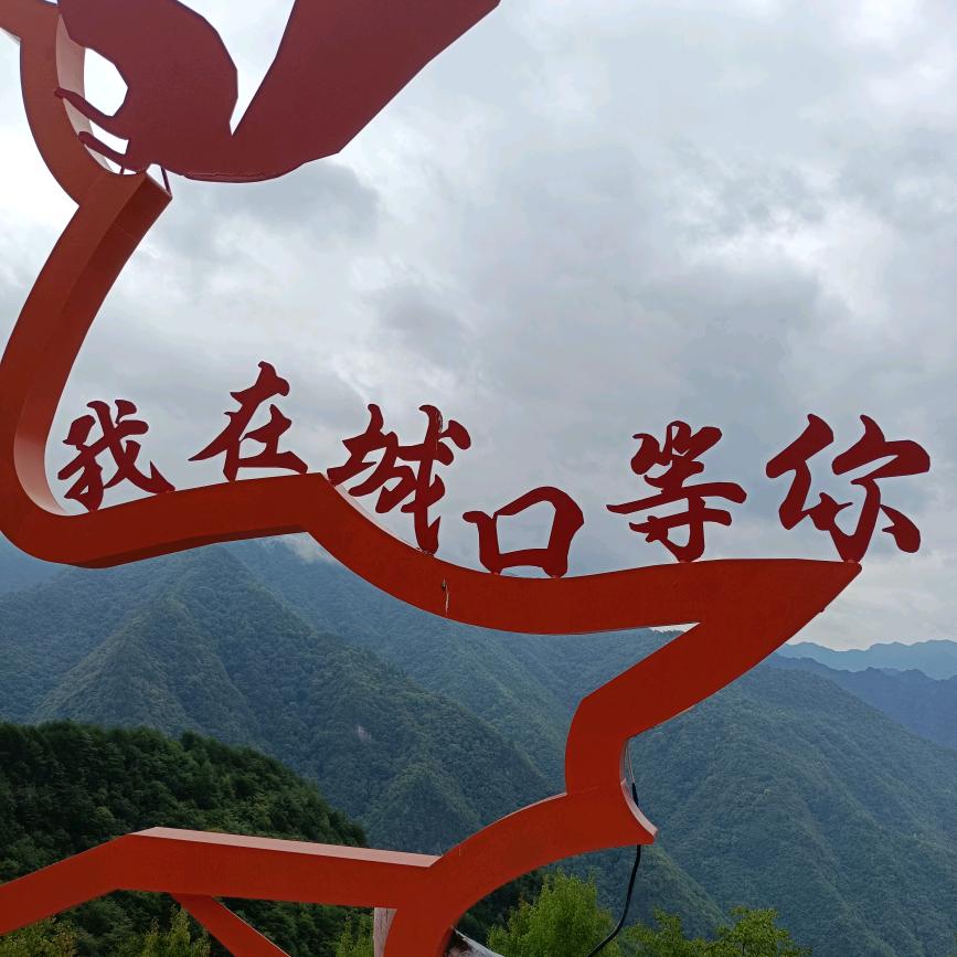 单纯的社会复杂的是人