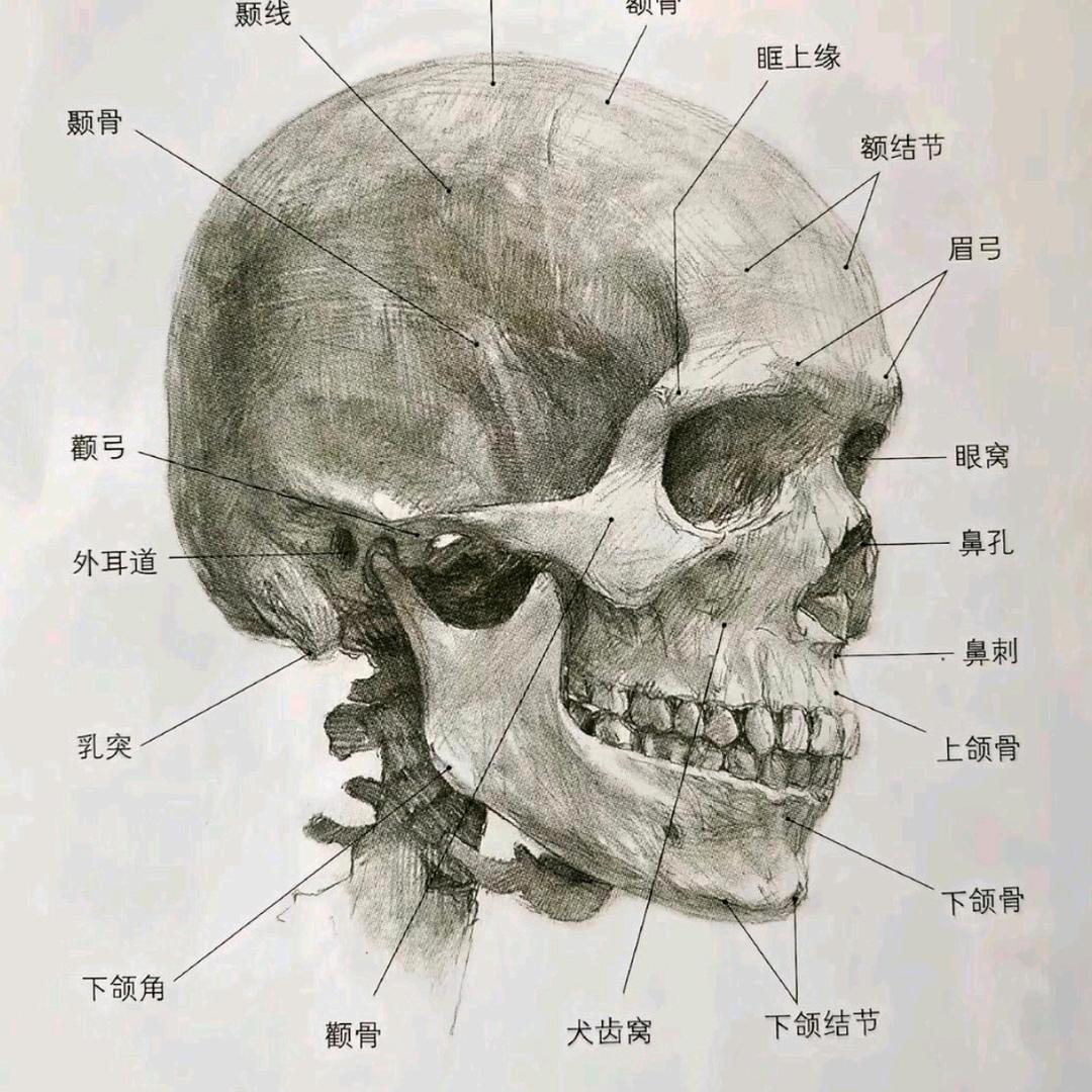 小辰大王^