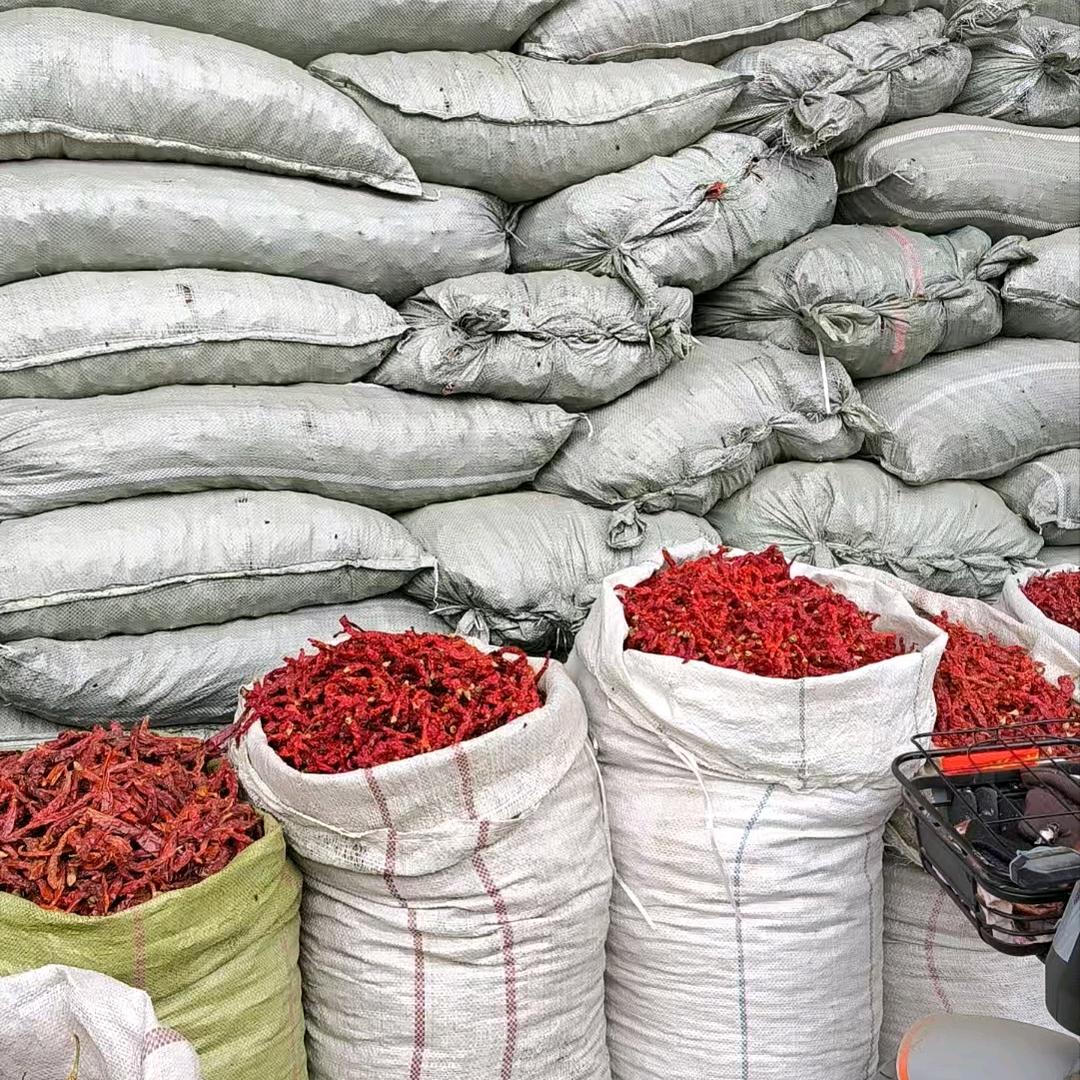 小梅，调料辣椒（爱玩小游戏）