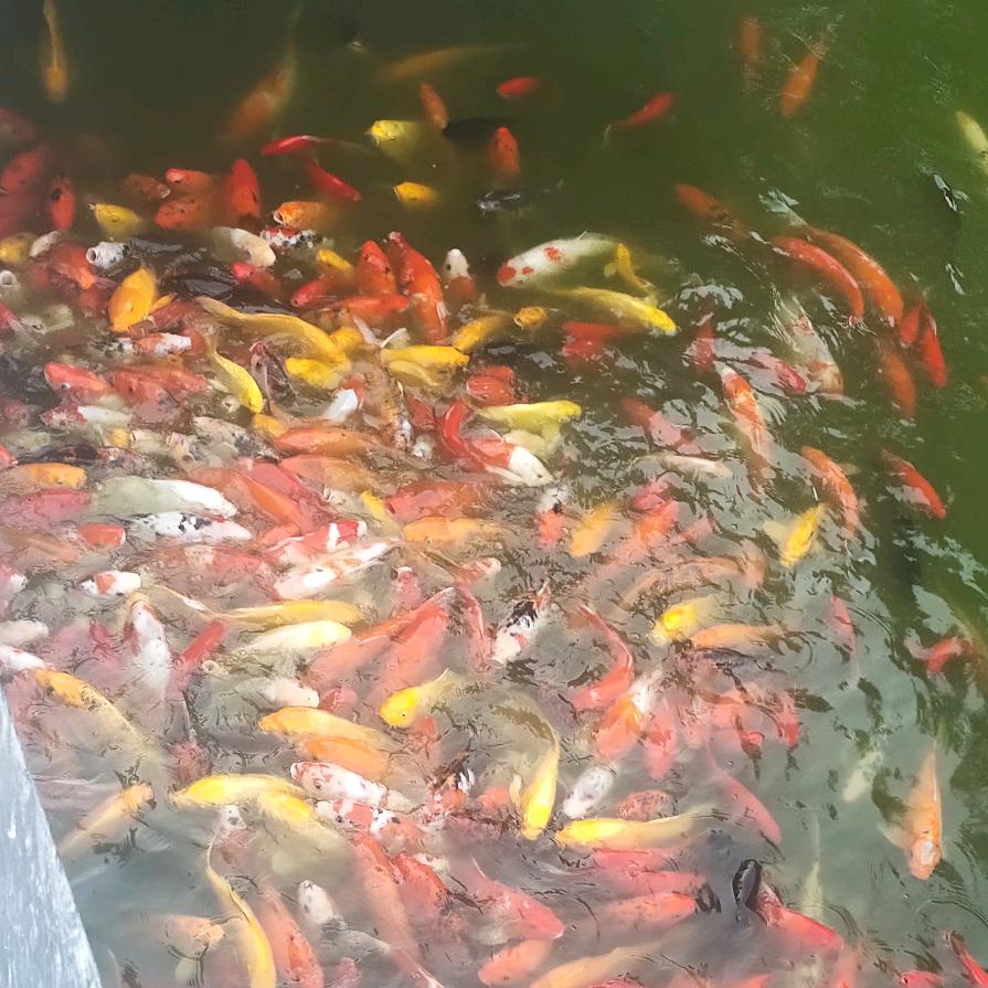 开心❤️❤️❤️❤️❤️❤️❤️❤️❤️