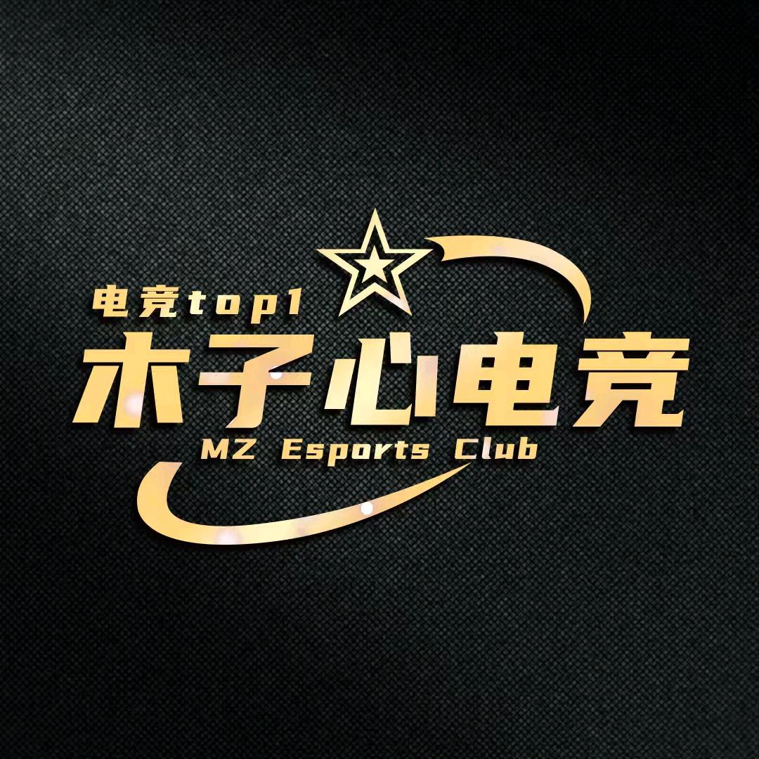 木子心电竞（三角洲）
