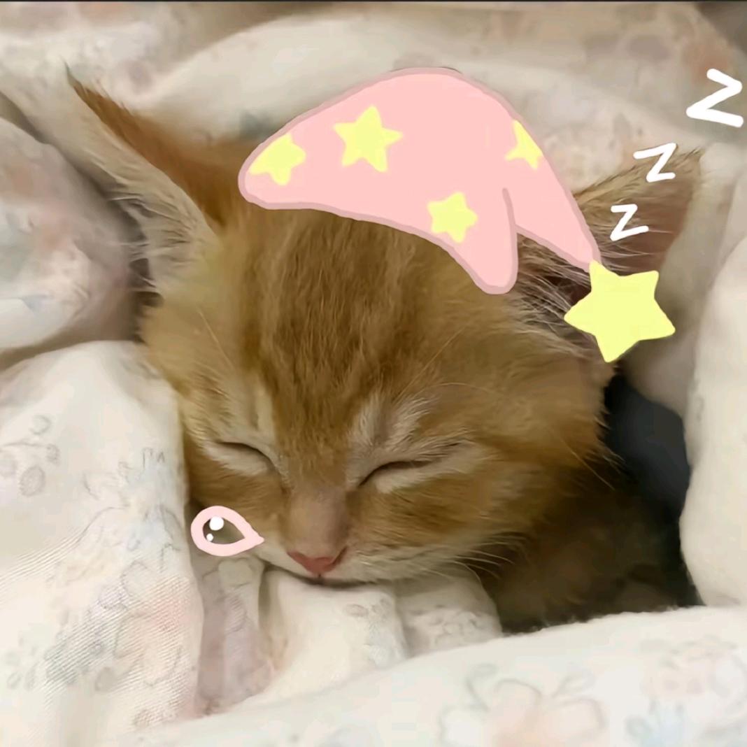 讨厌的苦瓜大王