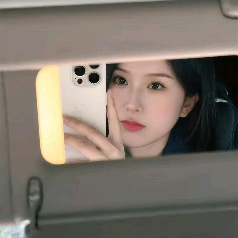 粉红梦境的少女