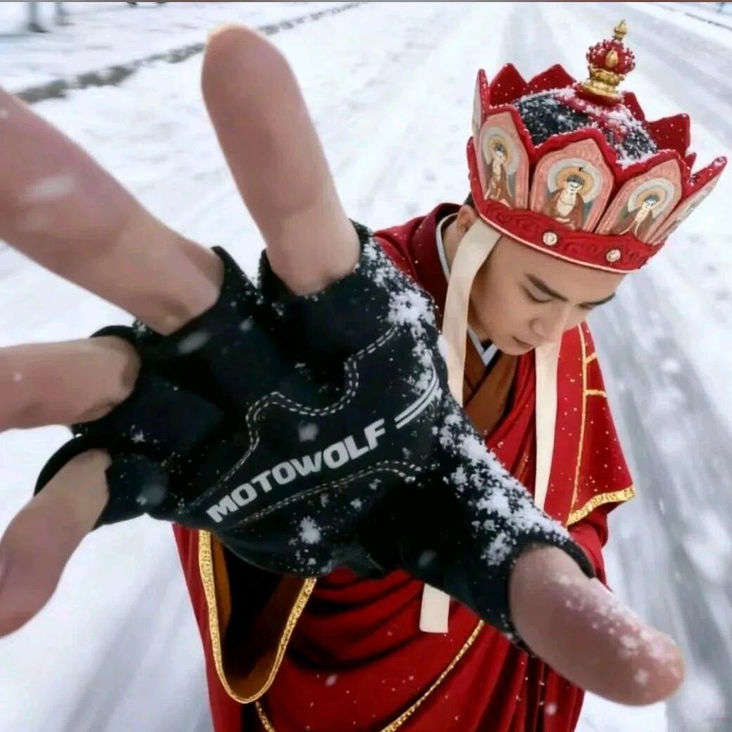 🇨🇳定州跨区农机大宝🚜。。钓鱼佬