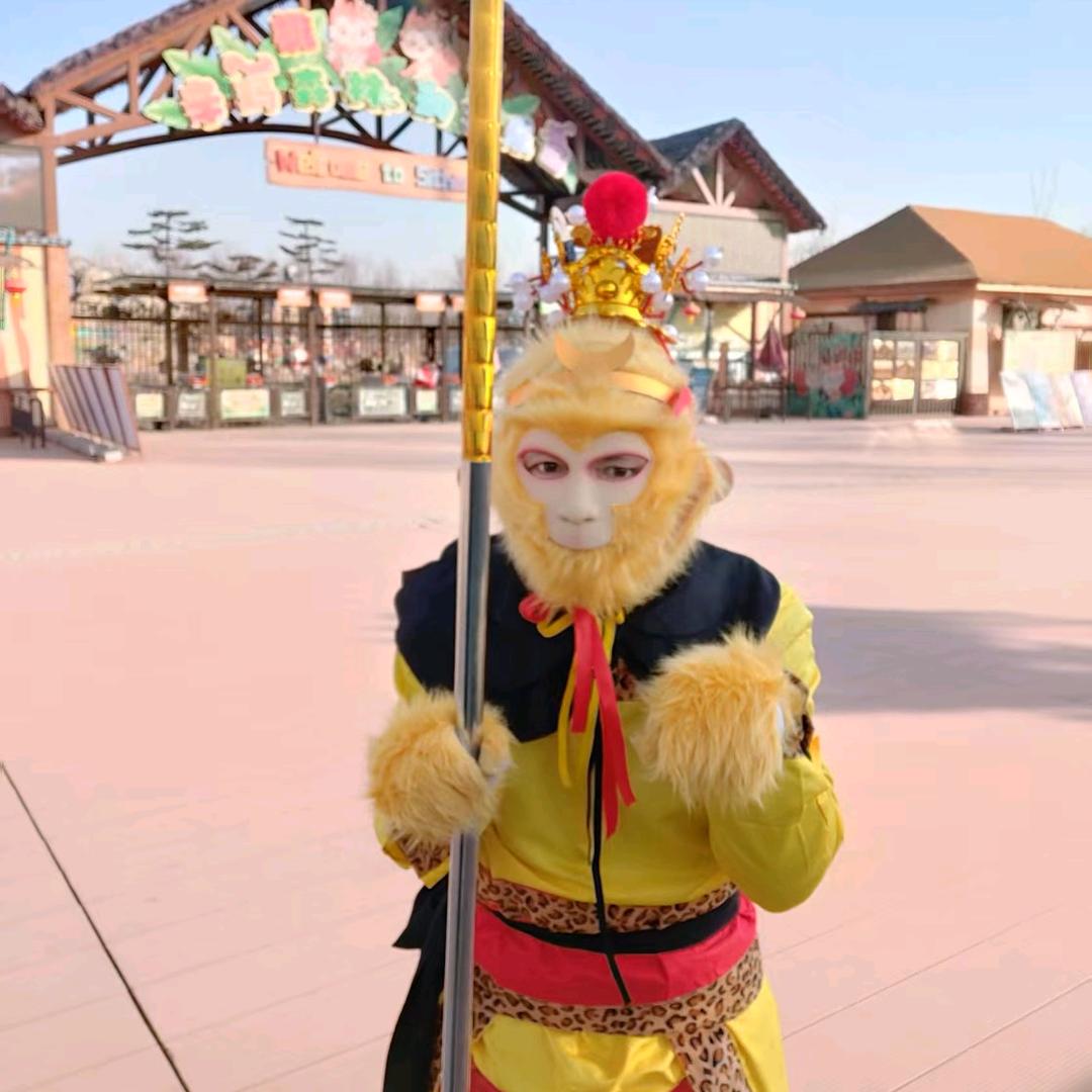大师兄