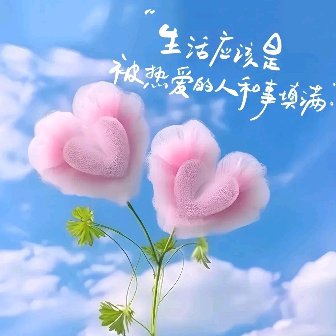 玲玲43991
