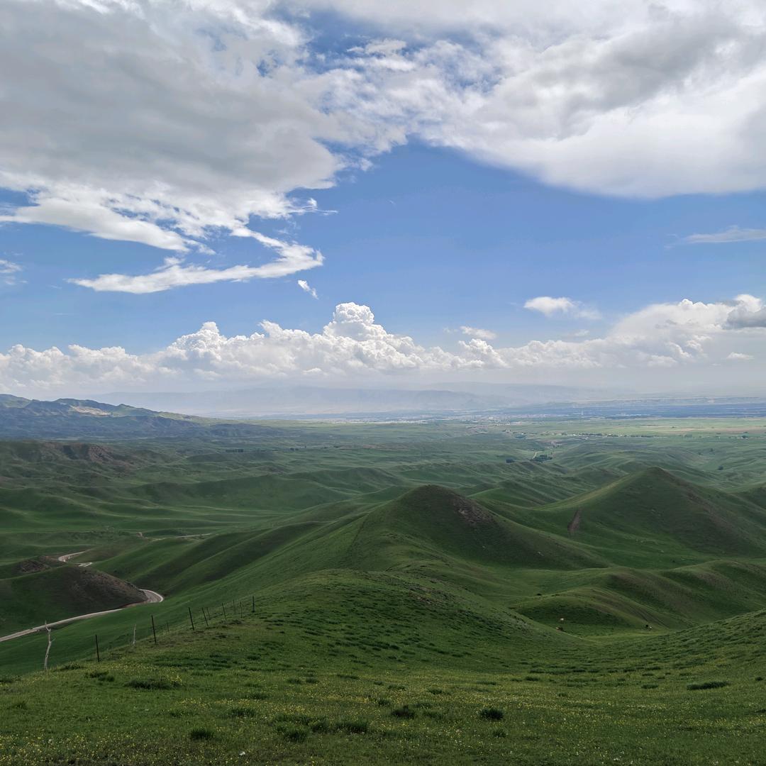 鲜峰保鲜——张龙华