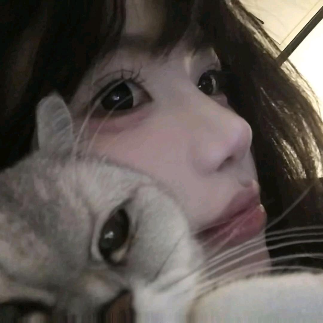 冷姐·