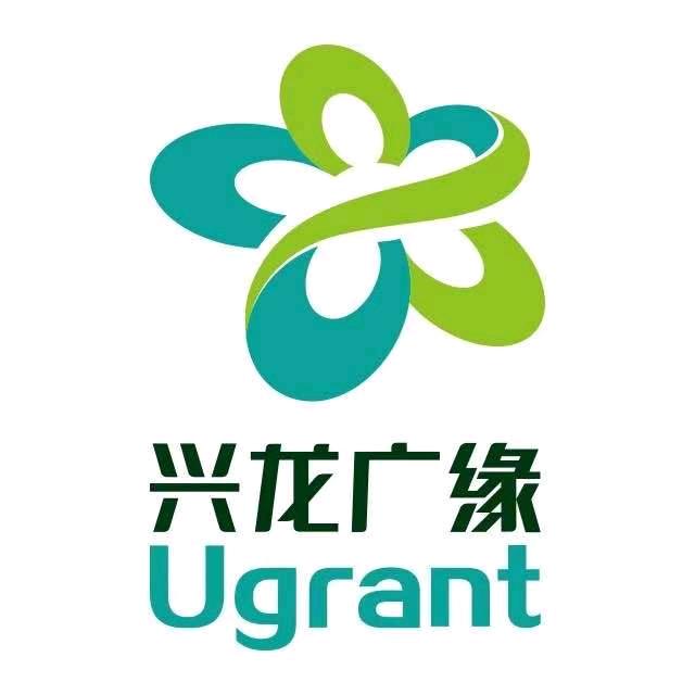 兴龙广缘超市—卢龙店