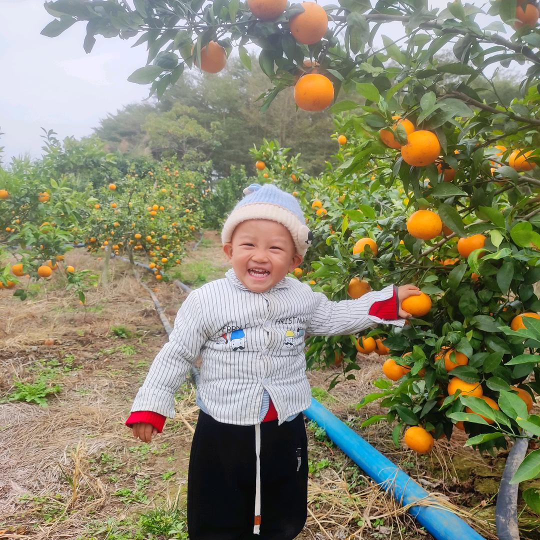 黄哥🍊