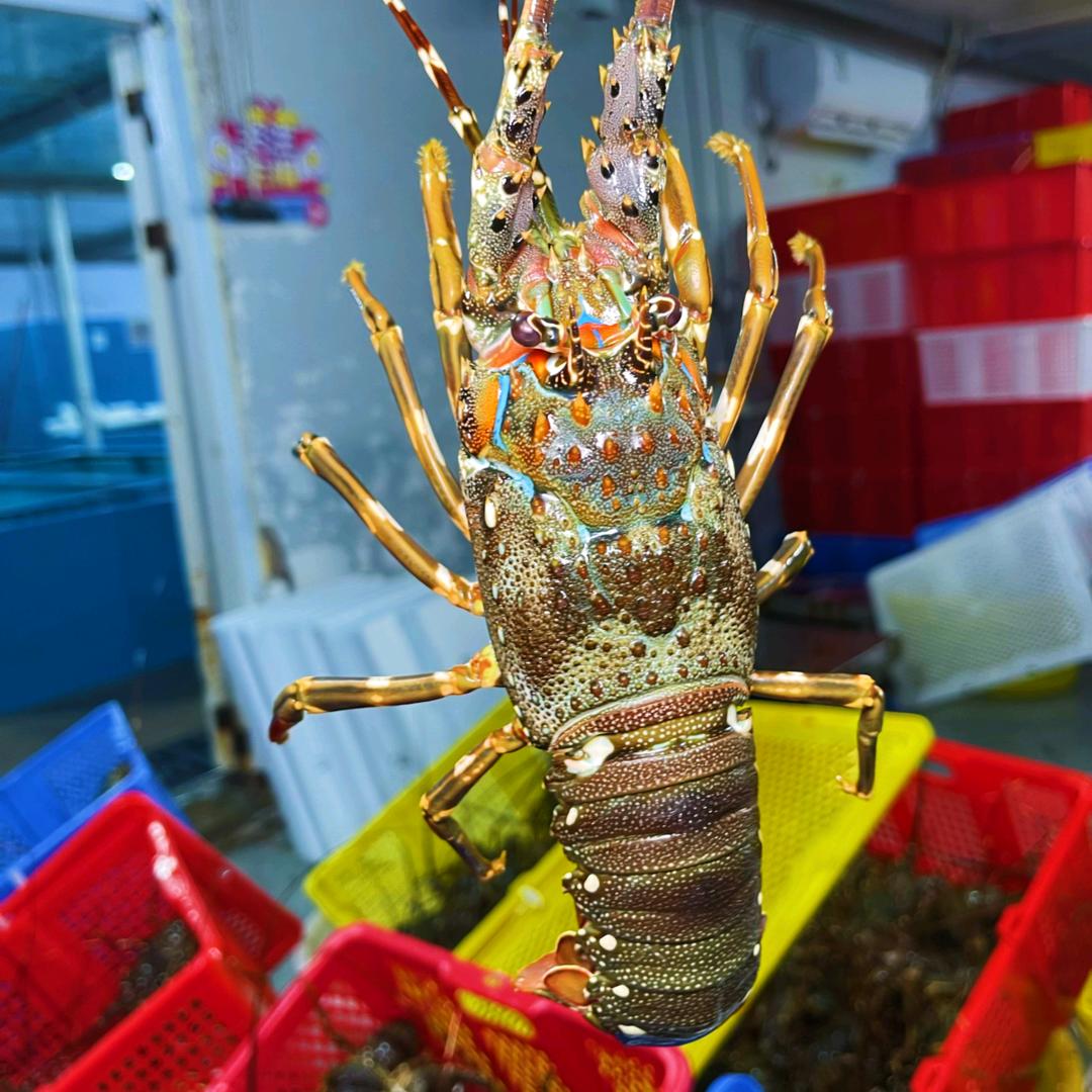 中国东盟生鲜交易中心